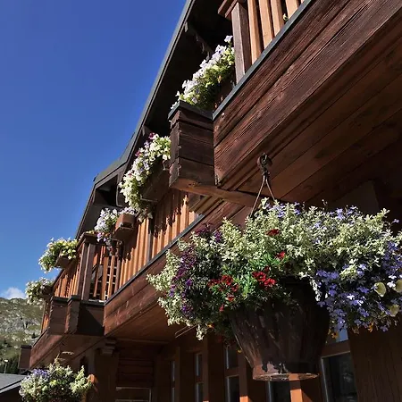 Aletsch Hotel Bettmeralp